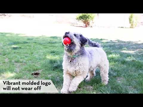 Kong Signature Ball 2 pk