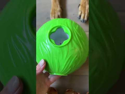 Dog Snuffle N' Treat Ball Puzzle - Nina Ottosson