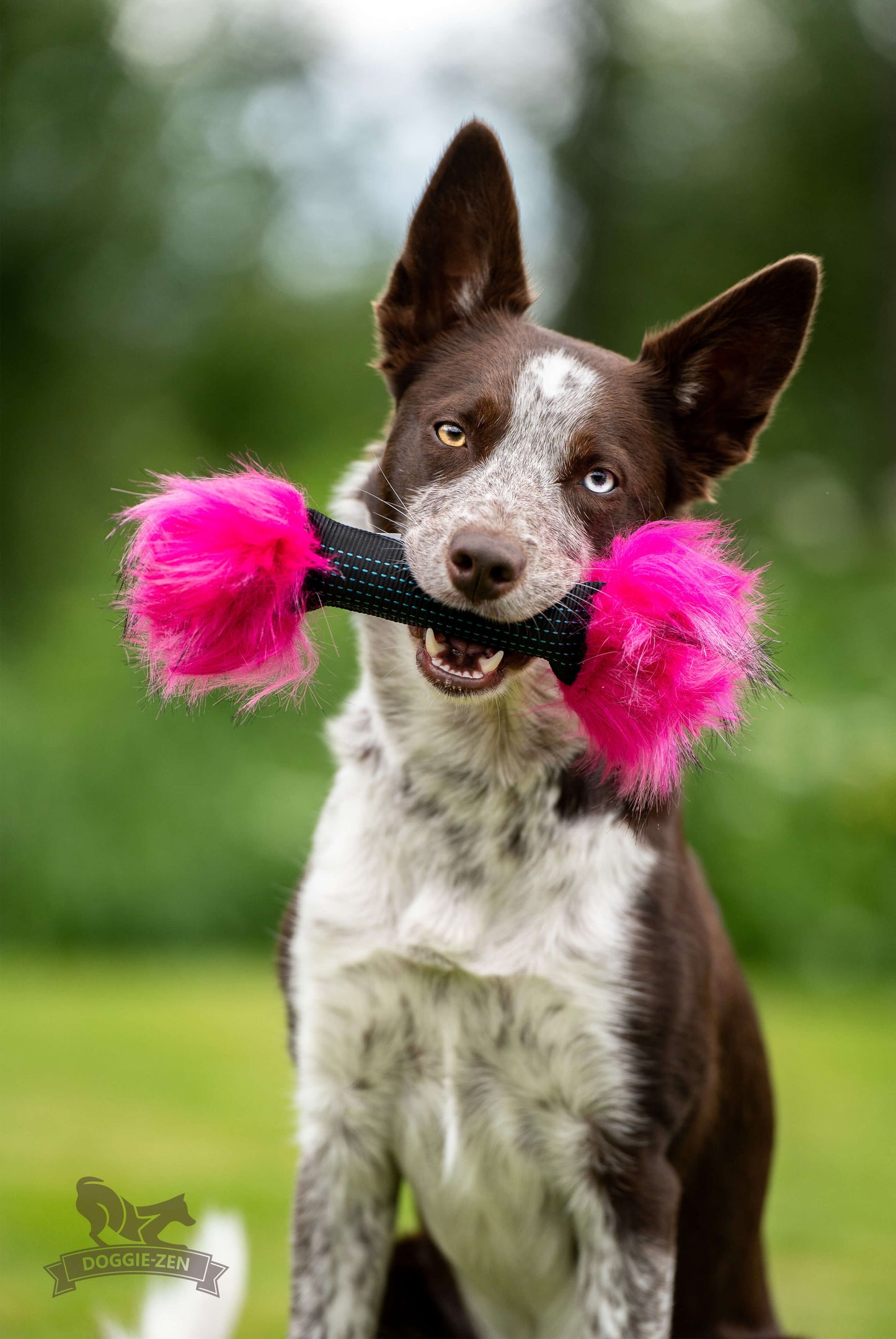Doggie-Zen Pipkaramell