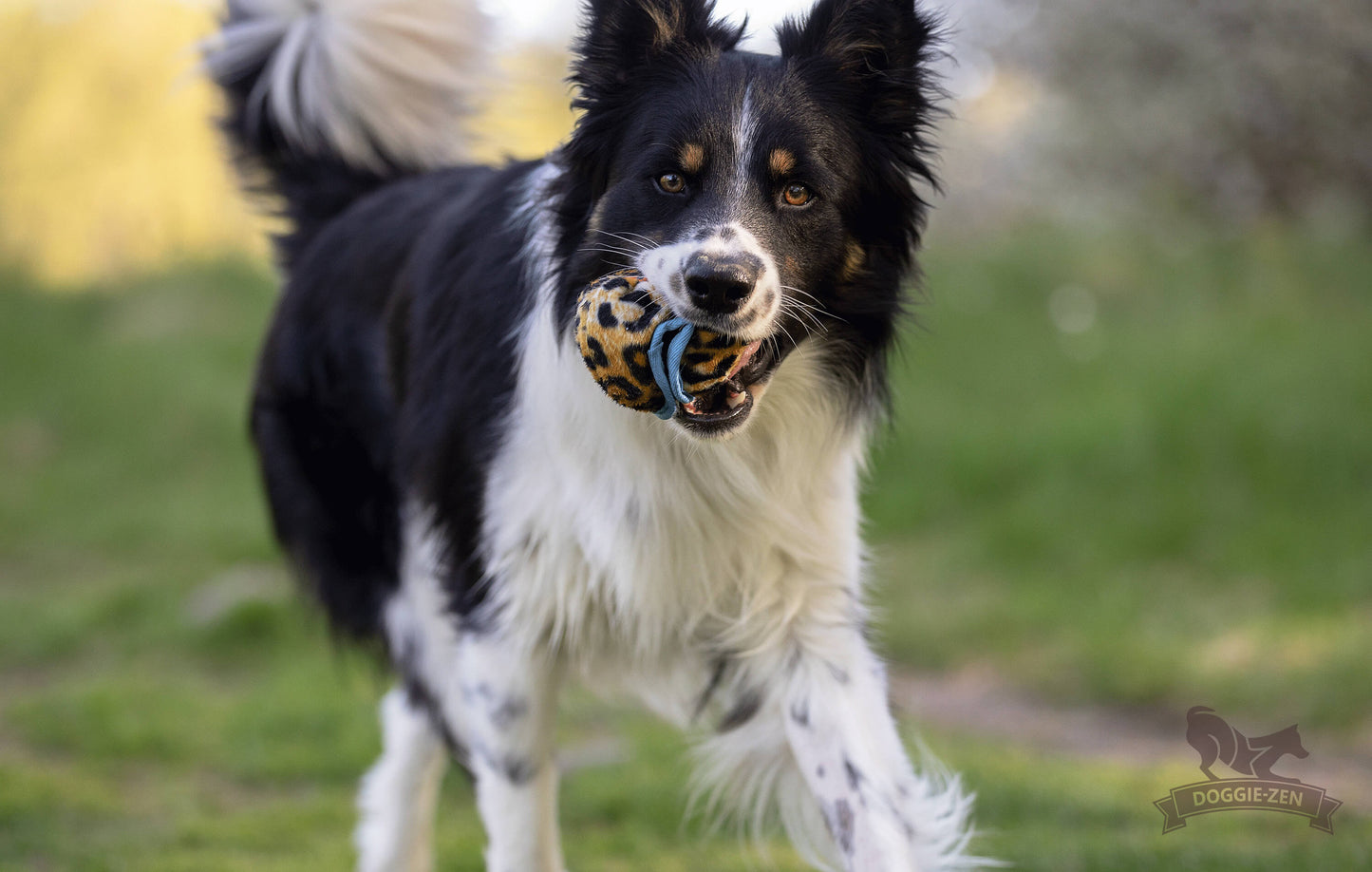 Doggie-Zen Belønningsball
