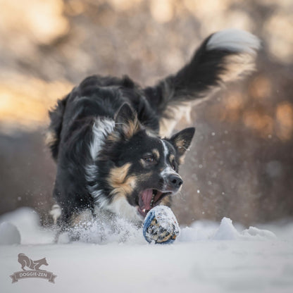 Doggie-Zen Belønningsball