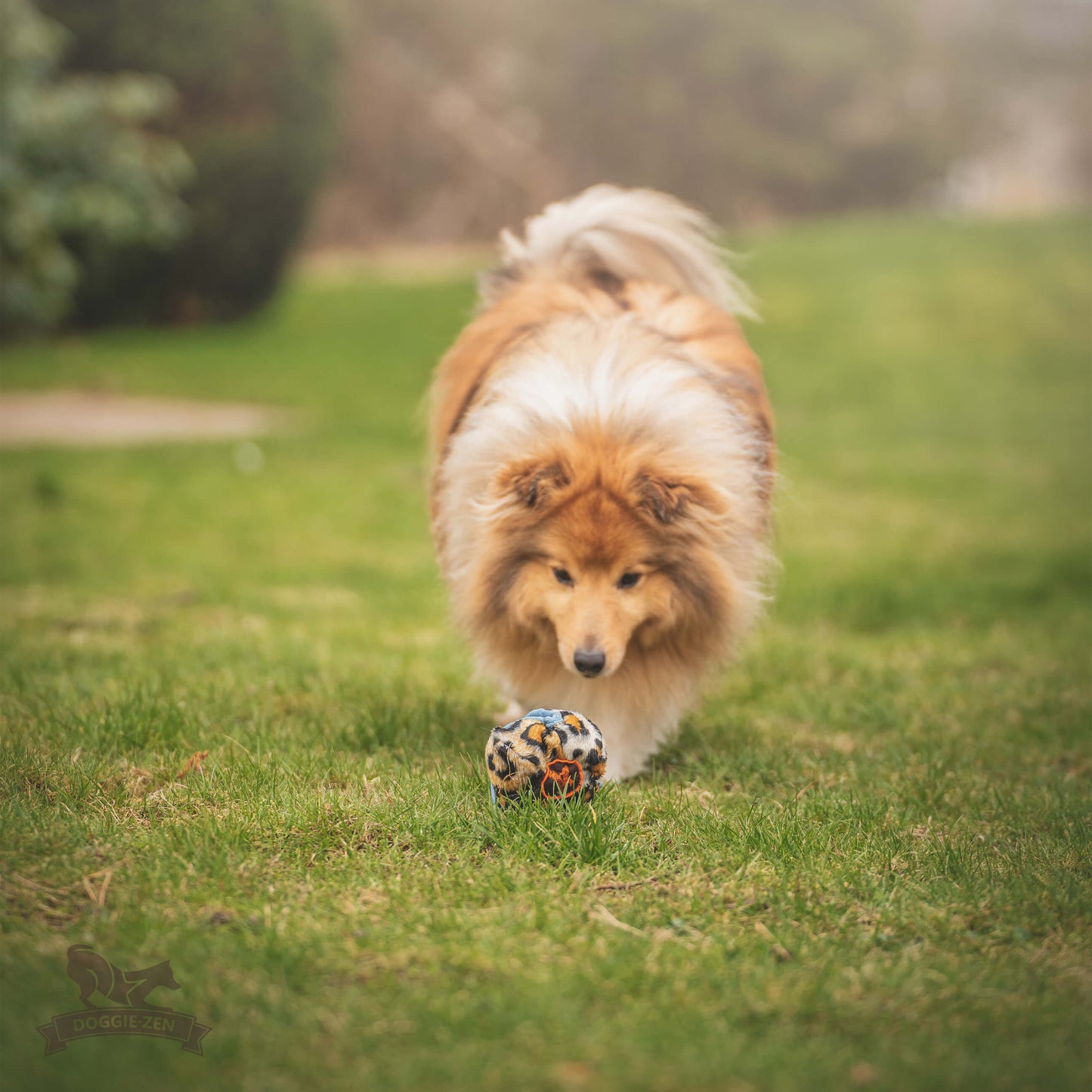 Doggie-Zen Belønningsball