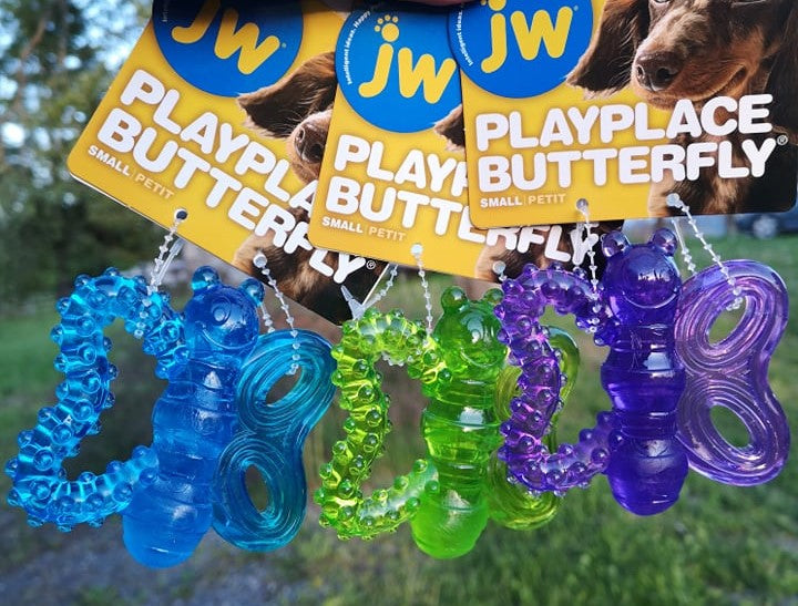 JW Play Place Butterfly Chew Me