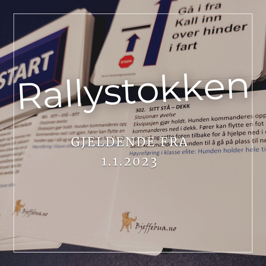 Norsk Rallystokk