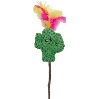 Companion Matatbi Cactus