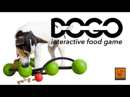 DOGO Northmate