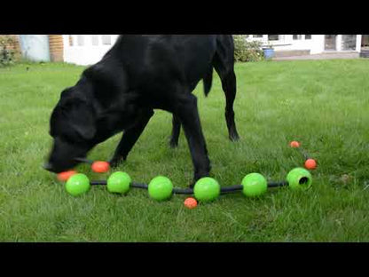 DOGO Northmate